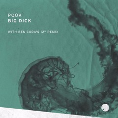 Pook - Big Dick  **out now**