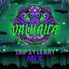 Tripzy Leary @ Valhalla 2019
