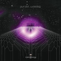 Zz Bing The Neutron Garden (3G1K Remix)