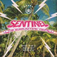 Sentinel Sound - Dancehall Mix Vol 29 - Hardcore Selection -  Caribbean Party [2014]