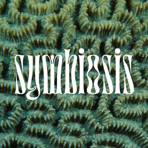 Papi's Rolling (Feat. 925)