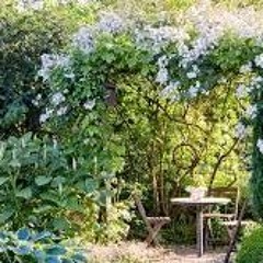 LE JARDIN SECRET ft. Nyira Djanga