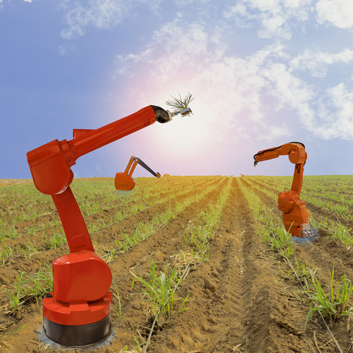 Arnaud Costinot: Taxing Robots to Level the Playing Field