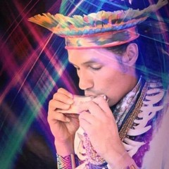 Harmonic Taita Jhon Alexander Castaño