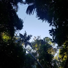 Jaden Smith Somebody Else Lofi