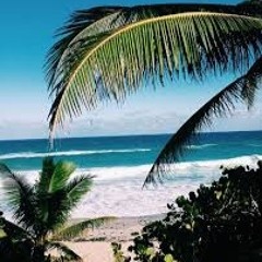 Midi Maestro Prod.. Harlem Shake Riddim