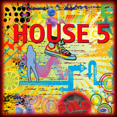 Dj Seven Red House 5