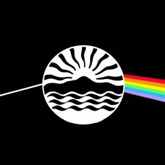 Hangin - Analog Empire (2019)