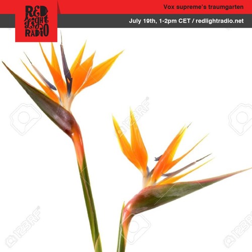 Vox supreme's traumgarten at Red Light Radio