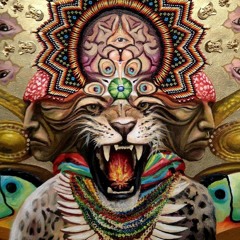 A c i d  B l o s s o m s