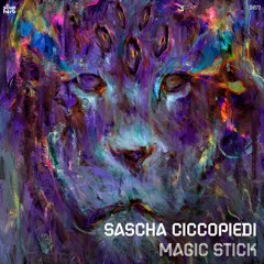 PREMIERE: Sascha Ciccopiedi  - Magic Stick [Soupherb Records]
