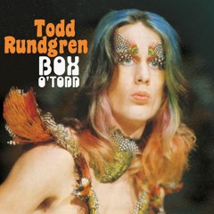 Hello It's Me - Todd Rundgren (Cover)