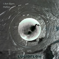 I Am Bam - Stabs
