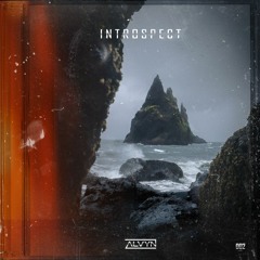 Introspect 002