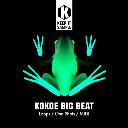Keep It Sample Kokoe Big Beat WAV MiDi