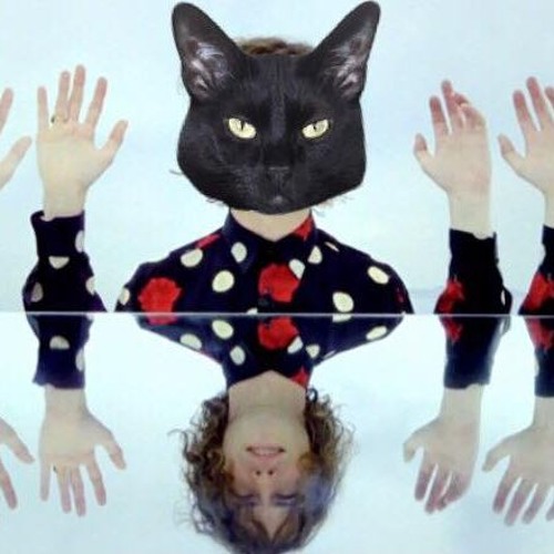 Yer Life is a Lie - MGMT (MEOW-mix)