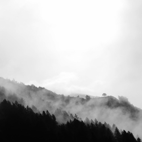 007 | Straw Hat Cruz