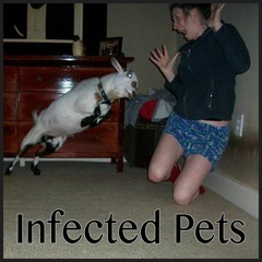 Infected Pets