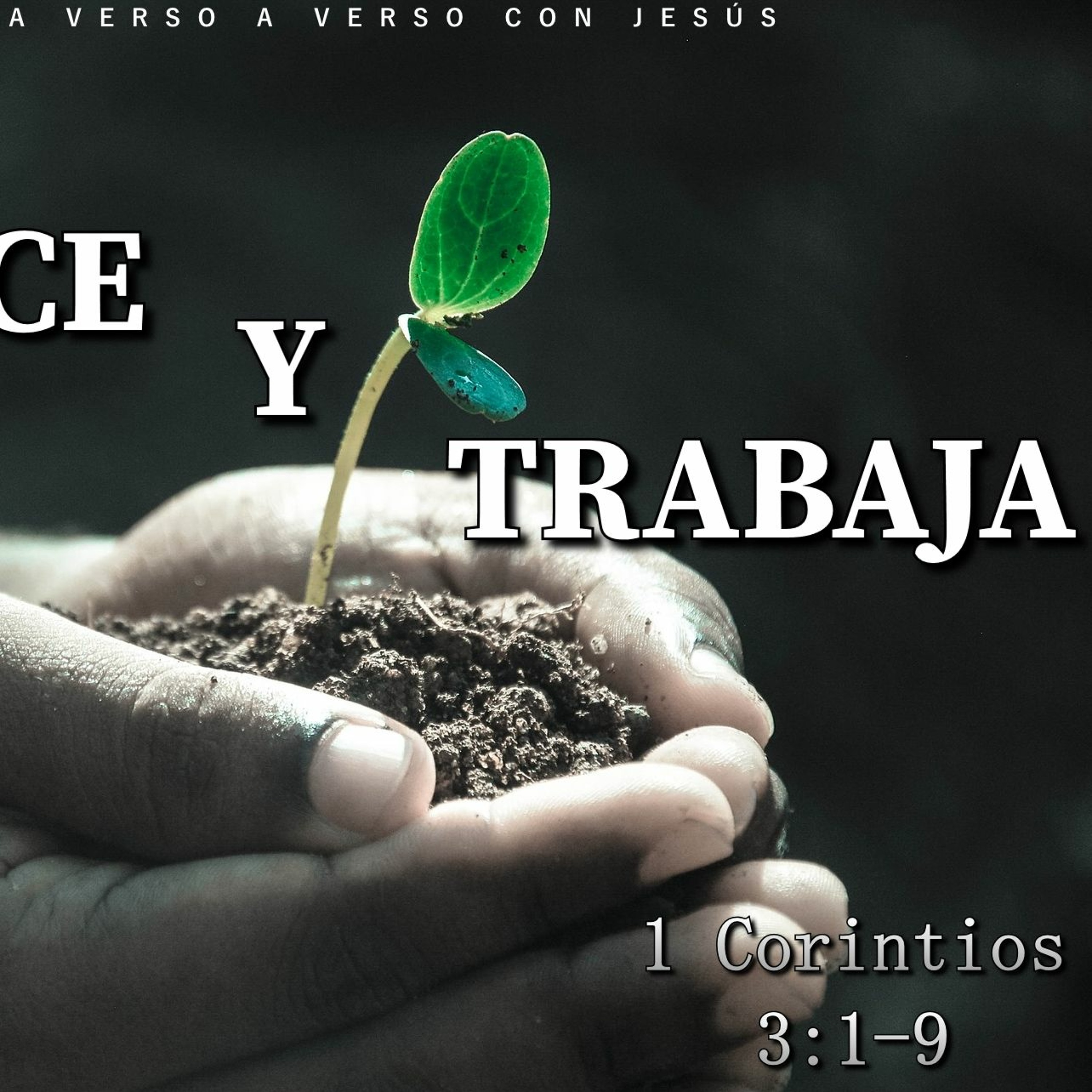 Ministerio Verso a Verso con Jesús