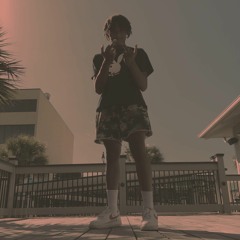 YPvision "Ocean Boulevard"