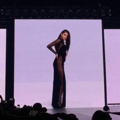 The Heart Wants What It Wants (Interlude Remake from the Revival Tour)