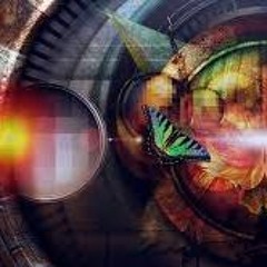 Anything Goes In Brooklyn