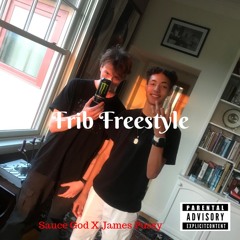 Frib Freestyle ™ (Feat. James Pussy)