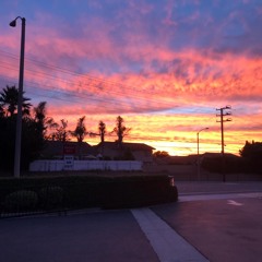 Song of Songs 2:5, 5:8