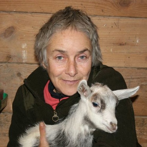 В Слониме чествовали сильнейших математиков страны - Слонимский вестник