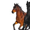 Lil Nas X Feat Billy Ray Cyrus Old Town Road Acapella Free Download Mp3