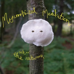 Mycorrhizal Meditation