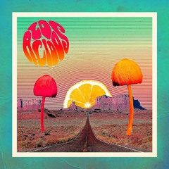 05 Jinete Psicodélico