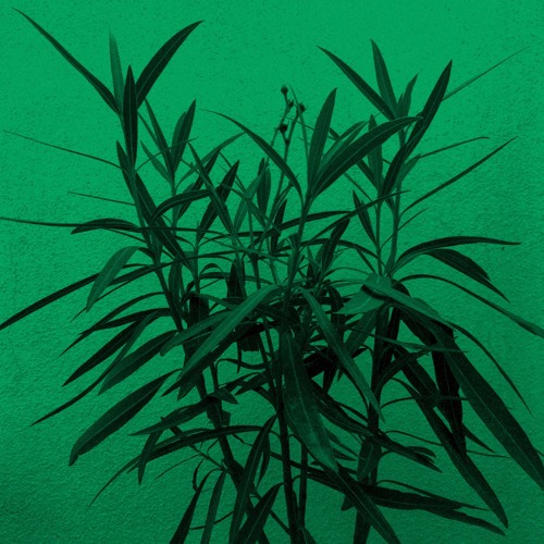 Winter In June & Vâyu - Dance Of The Kachinas (Claudio PRC Remix)[Kizen]
