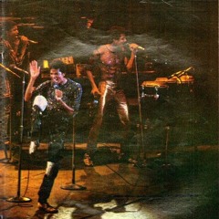 Michael Jackson & The Jacksons - Enjoy Yourself (Off The Wall Tour Fanmade)
