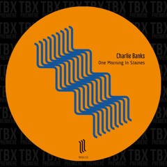 Premiere: Charlie Banks - Interfere [Moss Co.]