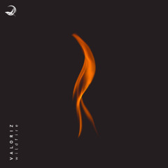 Valoriz - Wildfire