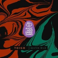 Toigo - Basten Wild ( Original Mix )