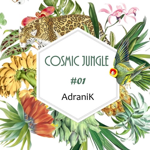 AdraniK - Cosmic Jungle 01