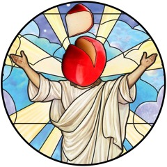 Mix Therapy #1 - Back to the Wild @ BitF 2019