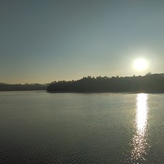 Someone you loved - Lewis Capaldi (Diane's cover)