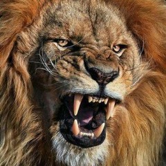 02 - SHIVAN DUBZ - ROOAR JUNGLE - DUBPLATE