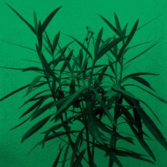 Premiere: Winter In June & Vâyu "Bhakta's Devotion" - Kizen Records