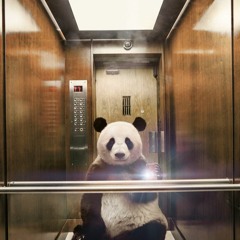 nach ladenschluss #2