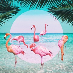 Pink Morning