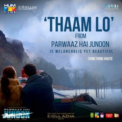THAAM LO Full Length Song l By Atif Aslam l Parwaaz Hai Junoon l HUM Films