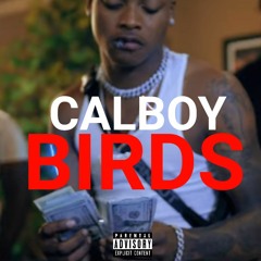 Calboy - Birds