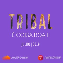 TRIBAL É COISA BOA 2 - Julho 2019