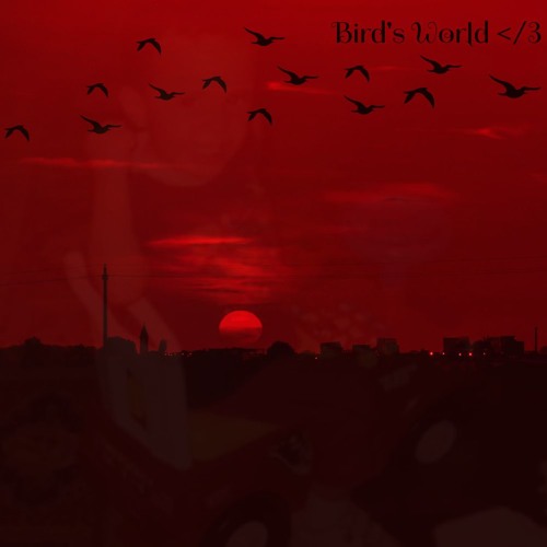 Bird's World </3