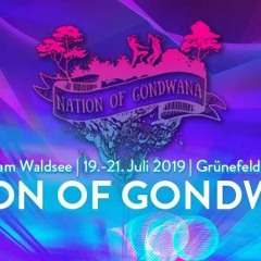 Flirren live @ Nation of Gondwana 2019