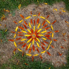 David Zephyrinus - Garden of life